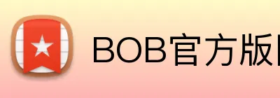 BOB官方版网站登录入口 Logo